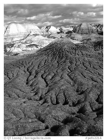 Bentonite and volcanic ash badlands in Blue Mesa, afternoon. Petrified Forest National Park (black and white)