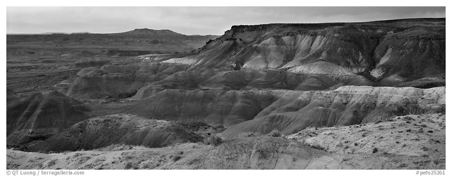 Painted Desert badlands at sunset. Petrified Forest National Park (black and white)