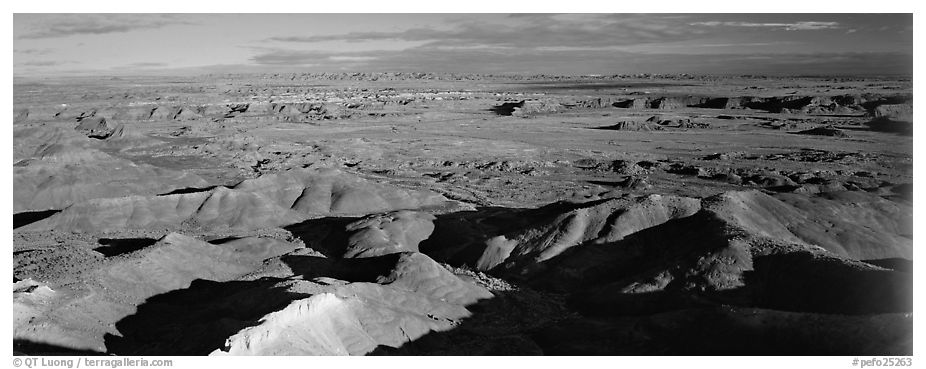 Painted Desert scenery. Petrified Forest National Park (black and white)