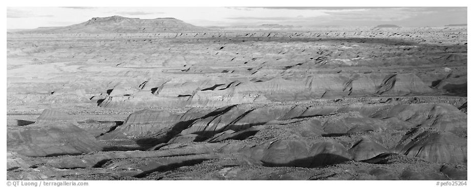 Ridges of Painted Desert. Petrified Forest National Park (black and white)