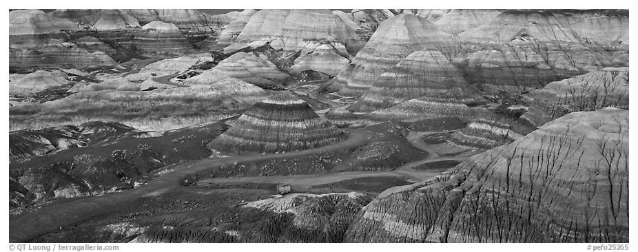 Blue Mesa colored badlands. Petrified Forest National Park (black and white)