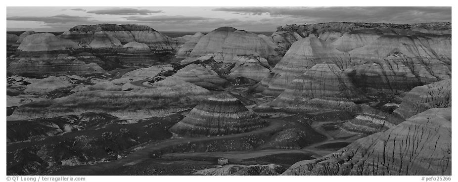 Badland scenery at dusk, Blue Mesa. Petrified Forest National Park (black and white)