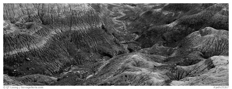 Multi-hued badlands. Petrified Forest National Park (black and white)