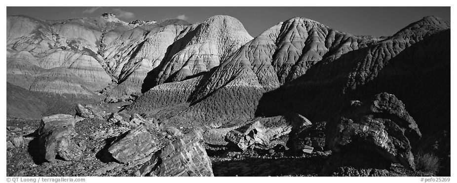 Petrified wood and badlands, Blue Mesa. Petrified Forest National Park (black and white)