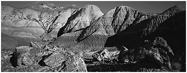 Petrified wood and badlands, Blue Mesa. Petrified Forest National Park (Panoramic black and white)