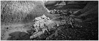 Petrified logs scattered in Blue Mesa badlands. Petrified Forest National Park (Panoramic black and white)