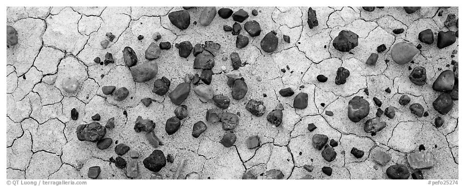 Dried mud cracks and multi-colored stones. Petrified Forest National Park (black and white)