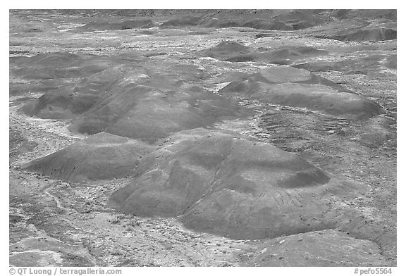 Red hills of  Painted desert seen from Tawa Point. Petrified Forest National Park (black and white)