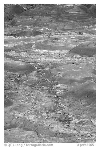 Red hills of  Painted desert seen from Tawa Point. Petrified Forest National Park (black and white)