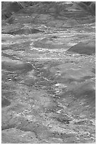 Red hills of  Painted desert seen from Tawa Point. Petrified Forest National Park ( black and white)