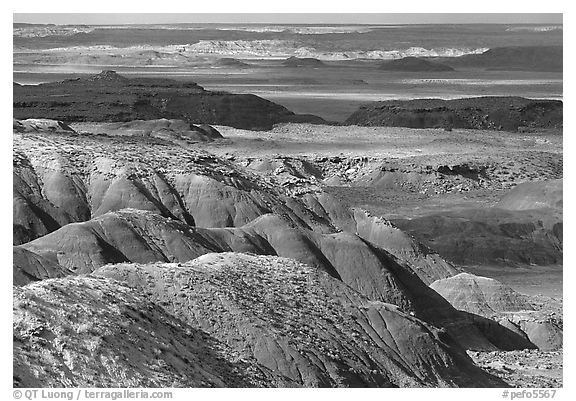 Painted desert seen from Lacey Point, morning. Petrified Forest National Park (black and white)