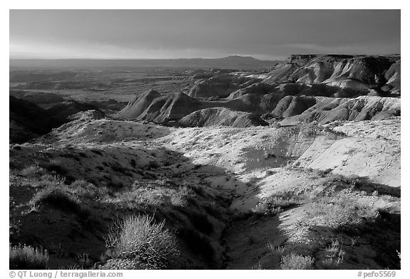 Badlands of  Chinle Formation seen from Whipple Point, stormy sunset. Petrified Forest National Park (black and white)
