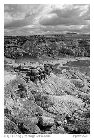 Petrified logs and Blue Mesa, mid-day. Petrified Forest National Park (black and white)
