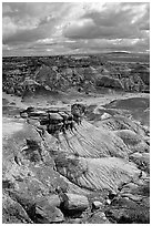 Petrifieds logs and Blue Mesa, mid-day. Petrified Forest National Park, Arizona, USA. (black and white)