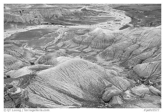 Fossilized logs and Blue Mesa, mid-day. Petrified Forest National Park (black and white)