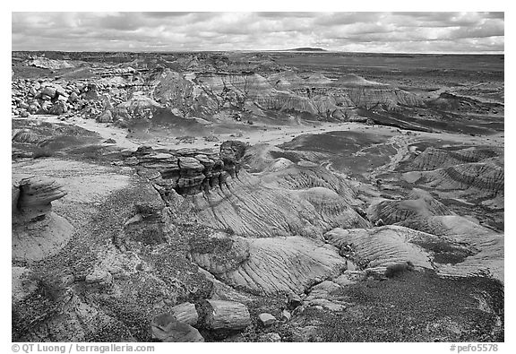 Petrifieds logs and Blue Mesa, mid-day. Petrified Forest National Park, Arizona, USA.