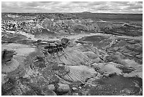 Petrifieds logs and Blue Mesa, mid-day. Petrified Forest National Park ( black and white)