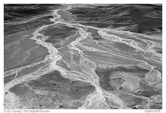 Dendritic drainage patterns, Blue Mesa, mid-day. Petrified Forest National Park (black and white)