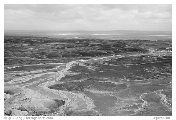 Dendritic drainage patterns, Blue Mesa, mid-day. Petrified Forest National Park, Arizona, USA.