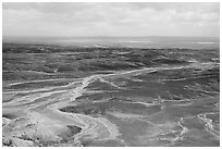 Dendritic drainage patterns, Blue Mesa, mid-day. Petrified Forest National Park, Arizona, USA. (black and white)