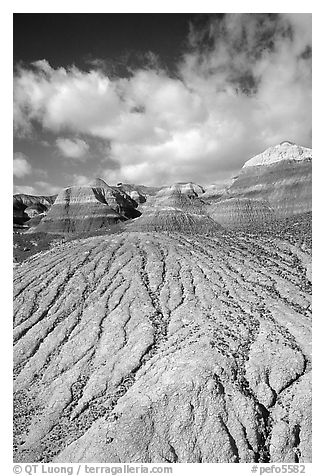 Eroded badlands of  Chinle Formationon, Blue Mesa. Petrified Forest National Park, Arizona, USA.