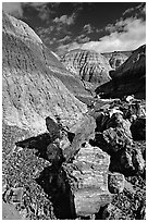 Colorful fossilized logs in Blue Mesa, afternoon. Petrified Forest National Park, Arizona, USA. (black and white)
