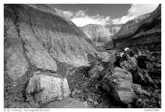 Colorful petrifieds logs in Blue Mesa, afternoon. Petrified Forest National Park (black and white)