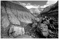 Colorful petrifieds logs in Blue Mesa, afternoon. Petrified Forest National Park, Arizona, USA. (black and white)