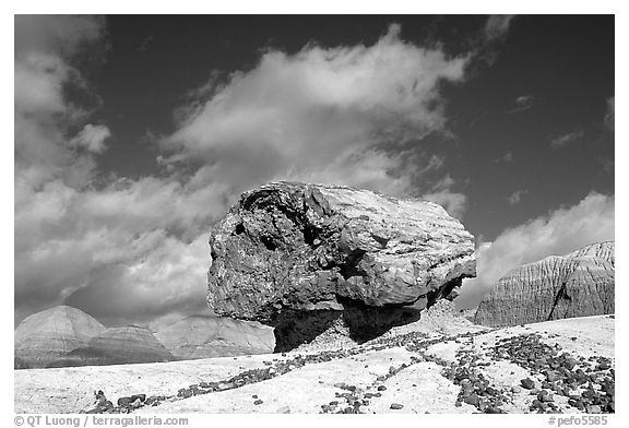 Pedestal petrified log in Blue Mesa, afternoon. Petrified Forest National Park (black and white)