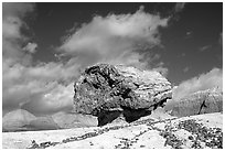 Pedestal petrified log in Blue Mesa, afternoon. Petrified Forest National Park, Arizona, USA. (black and white)