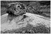 Pedestal petrified log in Blue Mesa, afternoon. Petrified Forest National Park, Arizona, USA. (black and white)