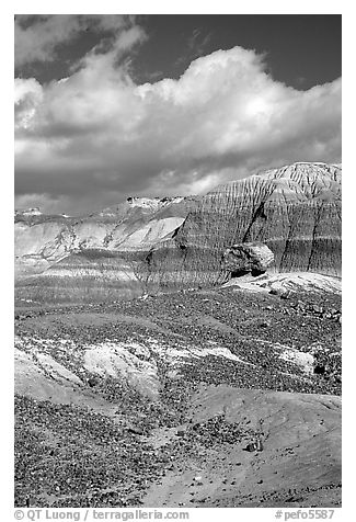 Blue Mesa badlands and pedestal fossilized log, afternoon. Petrified Forest National Park, Arizona, USA.