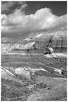 Blue Mesa badlands and pedestal fossilized log, afternoon. Petrified Forest National Park, Arizona, USA. (black and white)