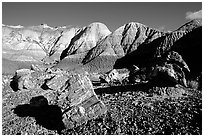 Colorful petrifieds logs in Blue Mesa, afternoon. Petrified Forest National Park, Arizona, USA. (black and white)