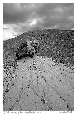 Pedestal petrified log in Blue Mesa, afternoon. Petrified Forest National Park, Arizona, USA.