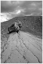 Pedestal petrified log in Blue Mesa, afternoon. Petrified Forest National Park, Arizona, USA. (black and white)