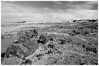 Long Logs area, morning. Petrified Forest National Park ( black and white)