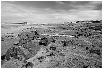 Long Logs area, with highest concentration of petrified wood in  Park, morning. Petrified Forest National Park, Arizona, USA. (black and white)