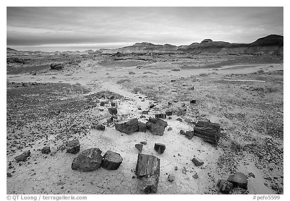 Multi-hued slices of petrified wood and mudstone hills, Long Logs area. Petrified Forest National Park (black and white)