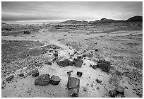 Multi-hued slices of petrified wood and mudstone hills, Long Logs area. Petrified Forest National Park, Arizona, USA. (black and white)