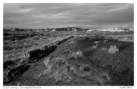 Last light, Long Logs area, sunset. Petrified Forest National Park (black and white)