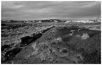 Last light, Long Logs area, sunset. Petrified Forest National Park, Arizona, USA. (black and white)