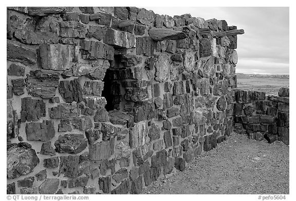 Agate House built with fossilized wood. Petrified Forest National Park (black and white)