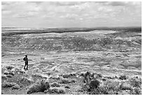 Visitor looking, Painted Desert near Tiponi Point. Petrified Forest National Park ( black and white)