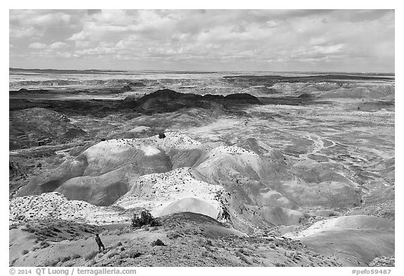 Visitor looking, Painted Desert near Tawa Point. Petrified Forest National Park (black and white)