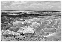 Visitor looking, Painted Desert near Tawa Point. Petrified Forest National Park ( black and white)