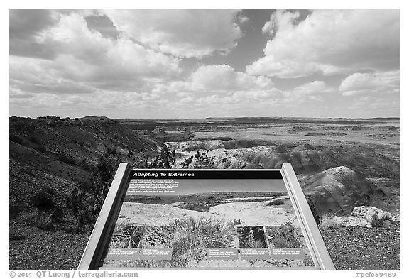 Interpretive sign, Painted Desert near Tawa Point. Petrified Forest National Park (black and white)