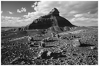 Petrified wood and Salomons Throne. Petrified Forest National Park ( black and white)