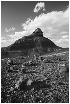 Petrified wood and eroded monolith. Petrified Forest National Park ( black and white)