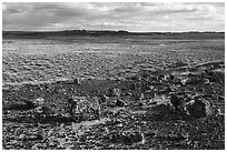 Petrified wood and plain. Petrified Forest National Park ( black and white)